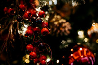 Rairdon Holiday Party:: Muckleshoot