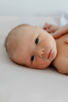 elora grace van dyck