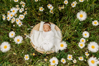 Baby Avery