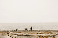 Borer Family::
