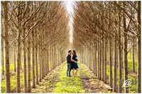 Alicia + Ben:: Maternity