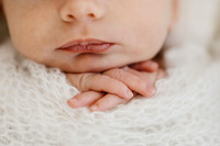 Baby Aurelia