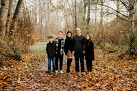 Swanson Family