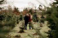 Sarah + Joey