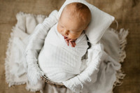 Baby Ladon