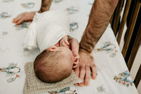 Baby Cohen
